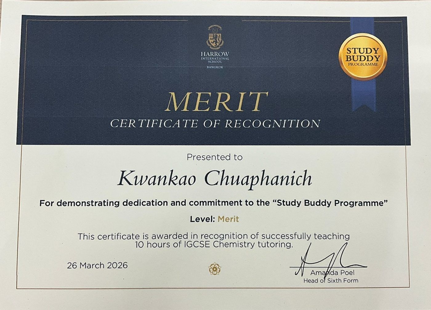 Study Buddy Programme merit certificate